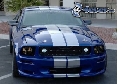 [obrazky.4ever.sk] ford mustang 147080